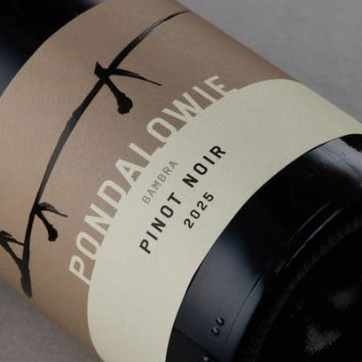 New Release Wines & Newsletter Specials